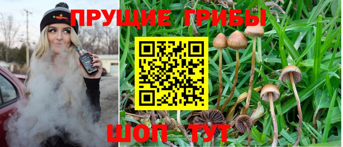 где купить наркоту  Галлюциногенные грибы Cubensis  Вход с VPN  Псилоцибиновые грибы GOLDEN TEACHER  Полевской 